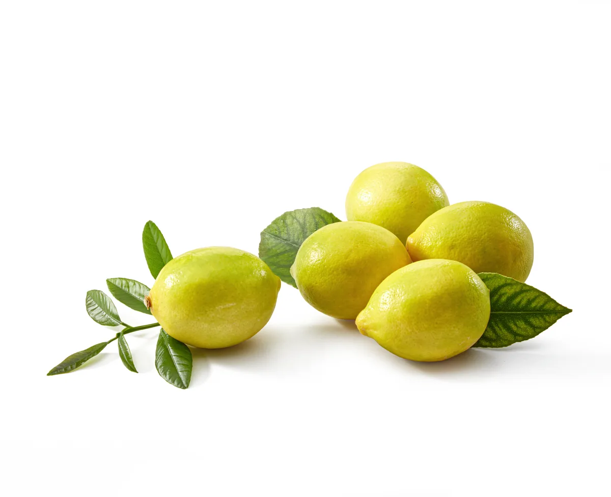 Limon Kg