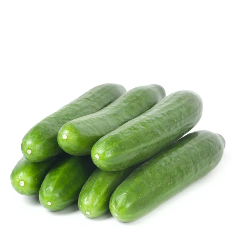 Salatalık Kg