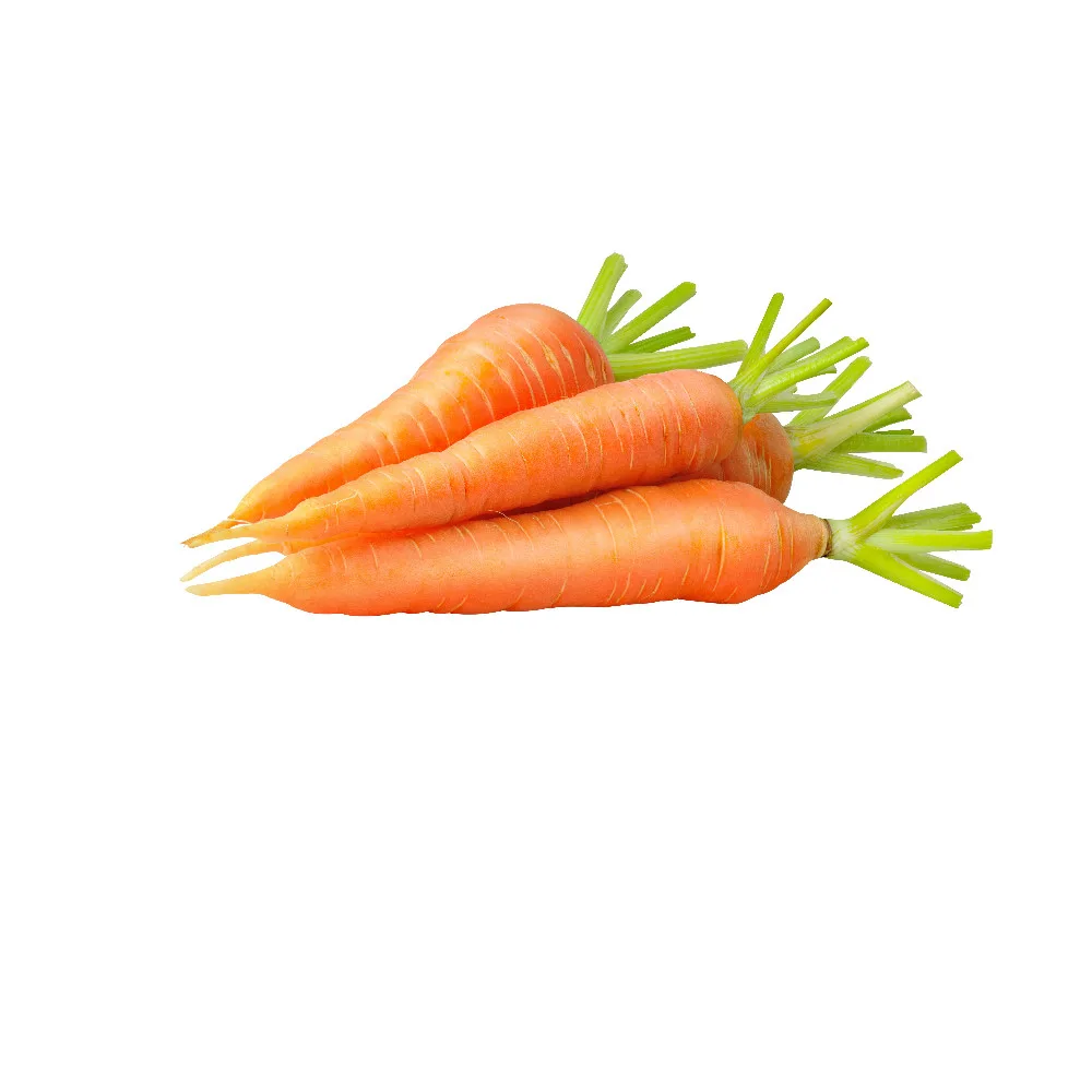 Havuç Kg